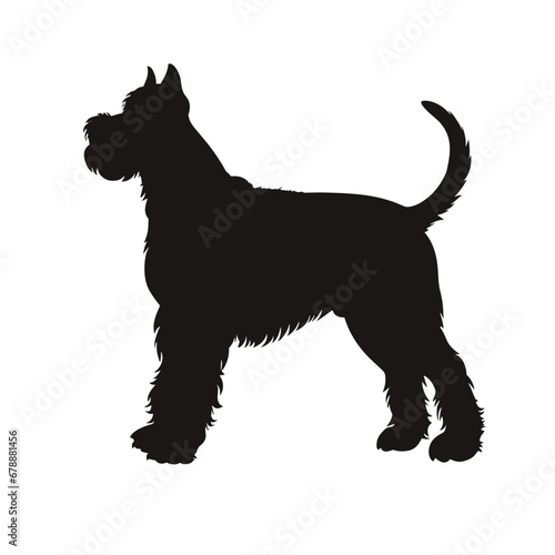 schnauzer silhouette, dog silhouette - vector illustration