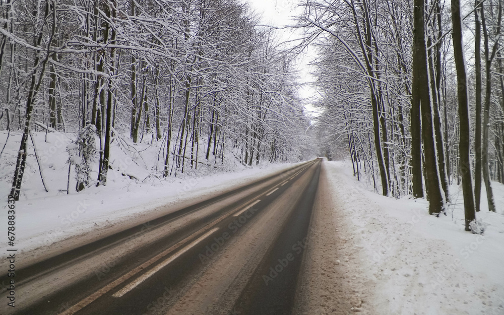 Road across forest in Wiezyca. Winter season in northern Poland. Road across forest in Wiezyca. Winter season in northern Poland.