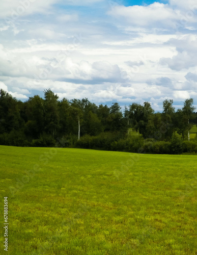 Fototapeta Naklejka Na Ścianę i Meble -  Green field landscape. Kashubia region of Poland