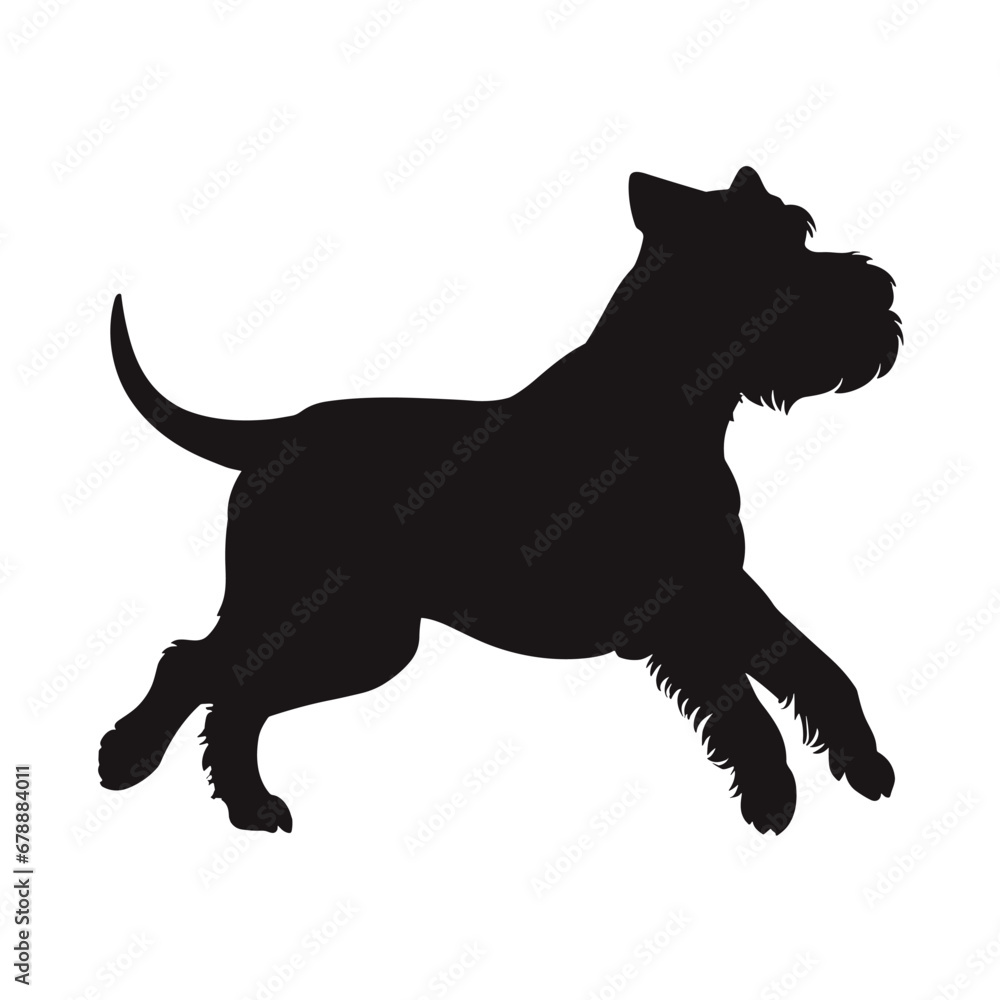 schnauzer silhouette, dog silhouette - vector illustration