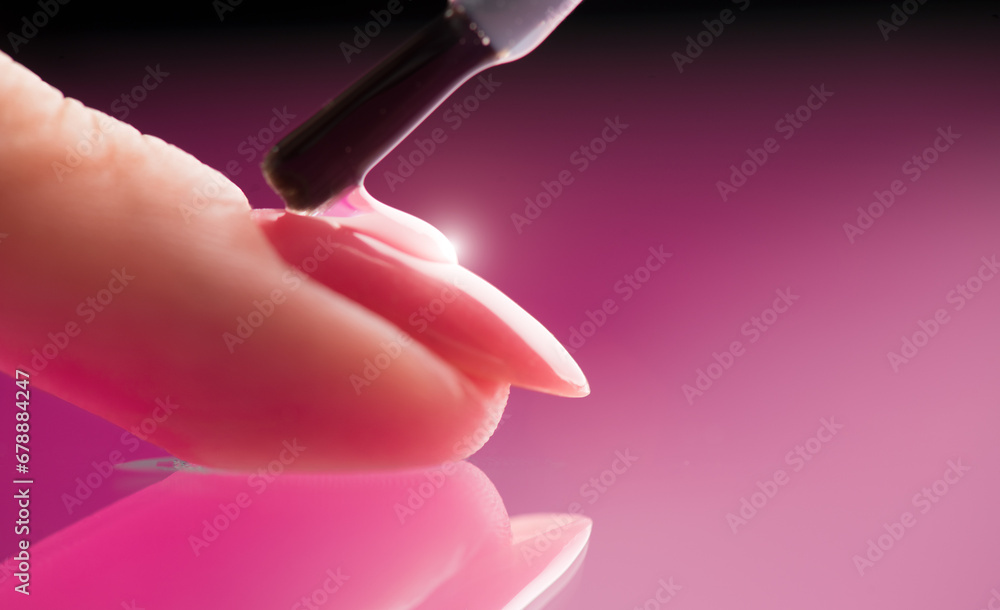 Applying Nail polish, pink shellac UV gel, varnish, manicure process concept in beauty salon. Transparent top coat drop on brush. Over pink background. Application of nail polish - obrazy, fototapety, plakaty 