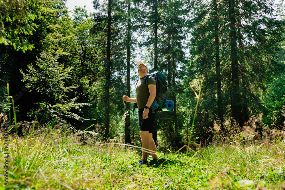 Adult man with backpack and hiking stick walking in green forest in daylight Adult man with backpack and hiking stick walking in green forest in daylight