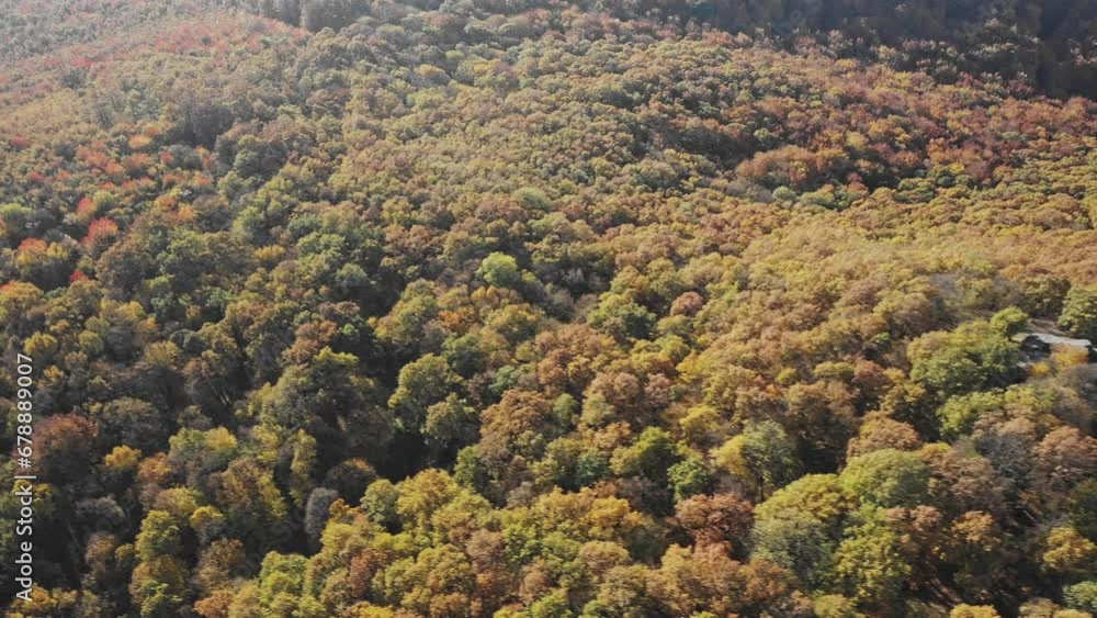 Aerial view of the ruins of Dregely Castle, with the forest in autumn colors in the background Aerial view of the ruins of Dregely Castle, with the forest in autumn colors in the background
