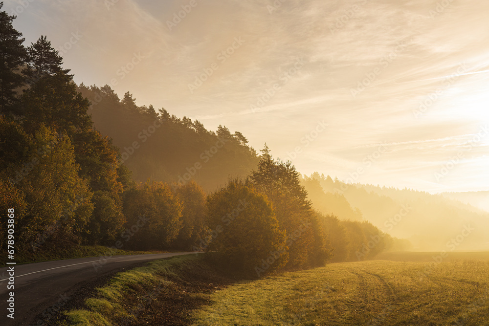 A bend of the road at the morning light of a foggy autumn landscape. - obrazy, fototapety, plakaty 