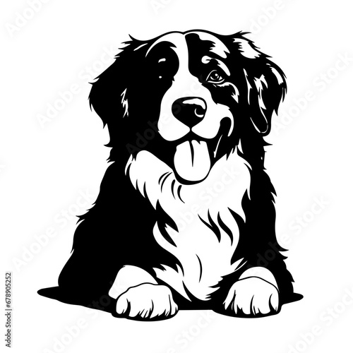 Bernese Mountain Dog Vector Logo Art photo
