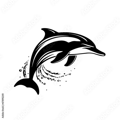 Dolphin Vector photo