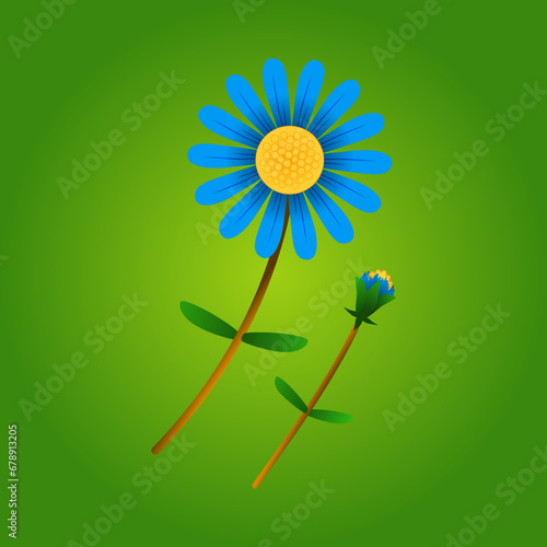 Felicia amelloides, blue bush daisy or blue felicia. Illustration of blue daisies, flowers that bloom in summer. photo