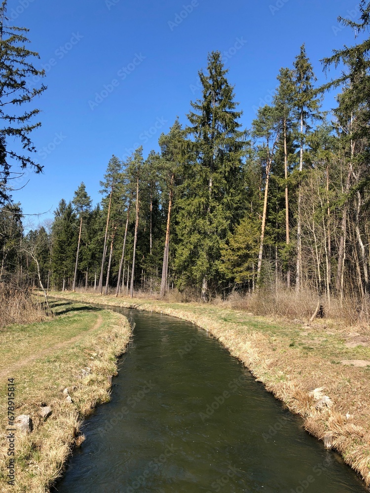 Fototapeta premium Vertical shot of a river between trees