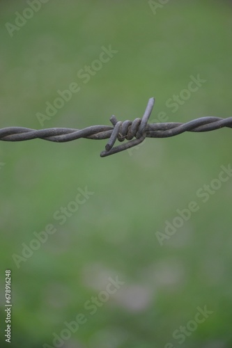 Closeup shot of a barbed wire on a blurred green background