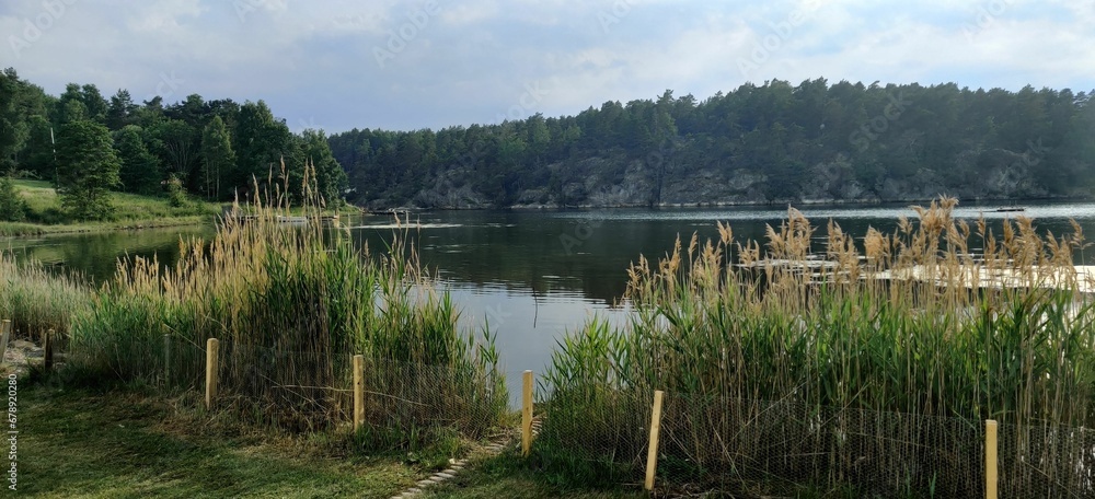 Panoramic view of a lake surrounded by deciduous forests