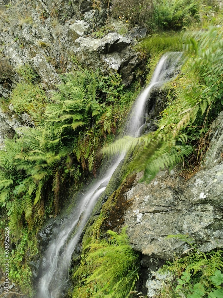Narrow cascading waterfal falling through rocky cliffs with plants in the forest Narrow cascading waterfal falling through rocky cliffs with plants in the forest