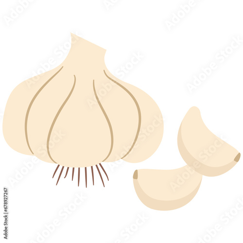 Garlic onion element. Vector element with vegetarian theme. Illustration.