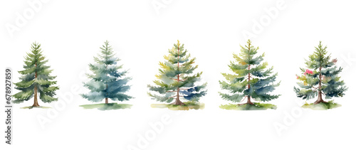 Watercolor spruce/pine tree cutout front view