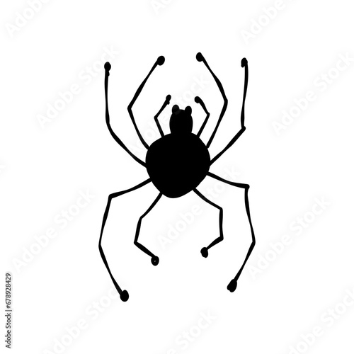 Spider icon, black silhouette isolated on white. Hand drawn style