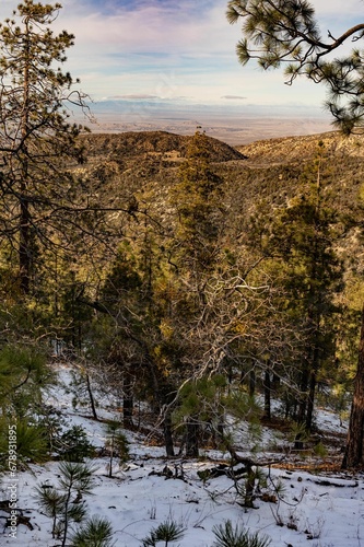 Landscape view with snowy mountains in southern California near a little town Wrightwood photo