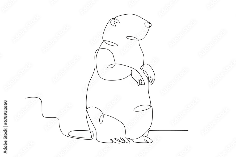 A standing groundhog mammal. Groundhog day one-line drawing A standing groundhog mammal. Groundhog day one-line drawing
