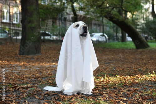 Cute Labrador Retriever dog wearing ghost costume in autumn park on Halloween
