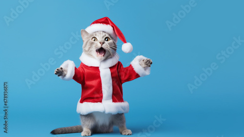 Cat in a Santa Claus costume for Christmas