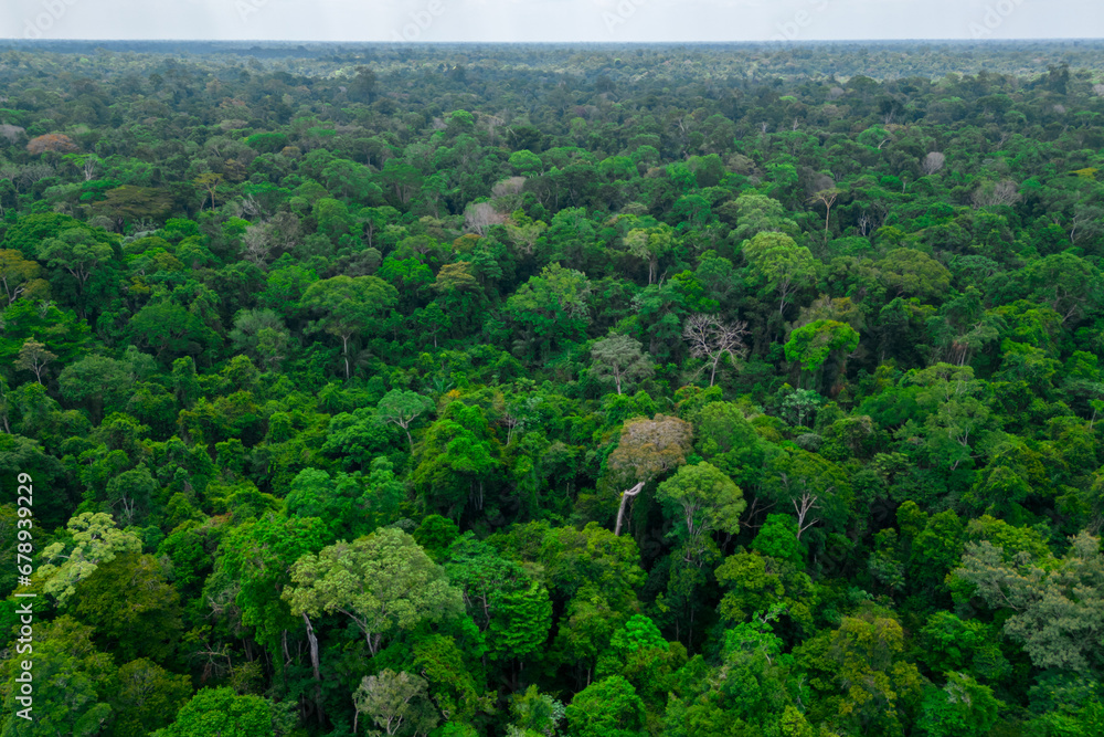 Aerial view of an area of untouched brazilian Amazon rainforest captured by drone