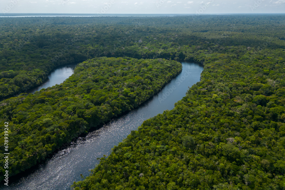 Aerial drone perspective of a river meandering through untouched brazilian Amazon rainforest