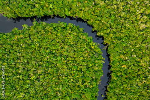 Perpendicular aerial view of a serene amazonian river cutting through untouched rainforest canopy