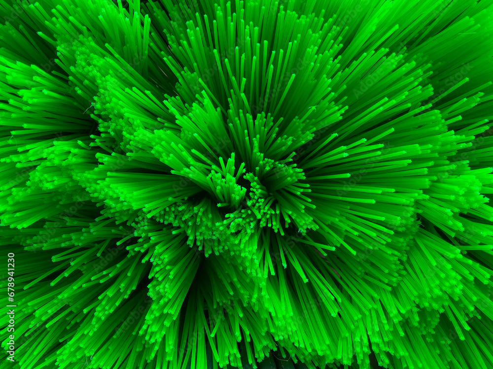Fototapeta premium Lines extending outward, green, close-up, pattern