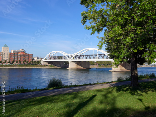 bridge over the river