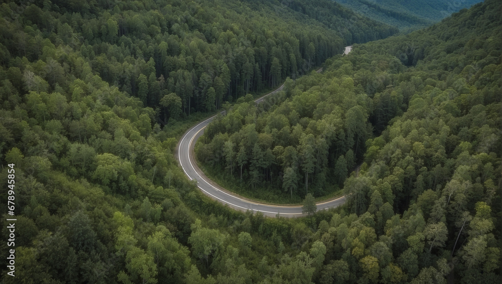 Aerial view of a road in the middle of the forest Aerial view of a road in the middle of the forest