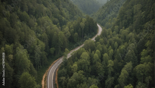 Aerial view of a road in the middle of the forest
