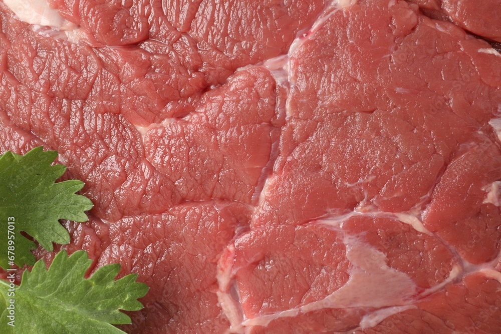 Piece of raw beef meat with parsley as background, top view Piece of raw beef meat with parsley as background, top view
