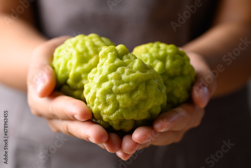 Kaffir lime fruit holding by woman hand, Organic ingredients in Thai cuisine, beauty and cosmetics