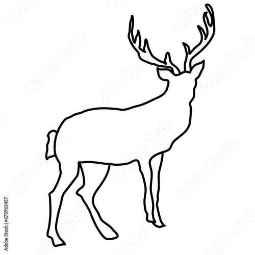 winter forest antler deer