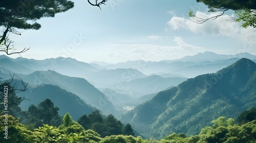 Japanese mountain landscape seen through the lens of forestry With copyspace for text photo