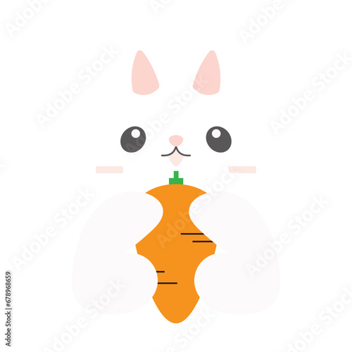 Rabbit Vector Illustration