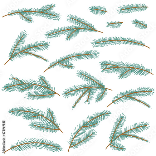 Collection Christmas Fir Tree Branch. New year green sketch branches set. Firtree or pine. Xmas spruce decoration hand drawn graphic elements. Cartoon drawing doodle vector illustration.