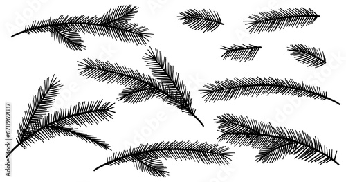 Collection Christmas Fir Tree Branch. New year black silhouette sketch branches set. Firtree or pine. Xmas spruce decoration hand drawn graphic elements. Cartoon drawing doodle vector illustration.