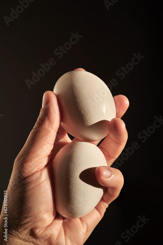 White chicken eggs in a woman's hand. photo