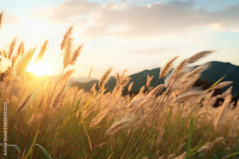 Tranquil meadow with a vibrant sunset. The grassy field, coloured in soft and glowing hues, presents a nature scene as the sun sets. Is AI Generative. Tranquil meadow with a vibrant sunset. The grassy field, coloured in soft and glowing hues, presents a nature scene as the sun sets. Is AI Generative.