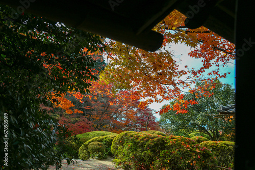 kyoto,Japan - November 27, 2017 : The beautiful Shisendo temple sand park in the fall foliage season is a favorite place for tourists to take photos.