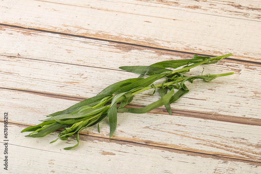 Green tarragon herb spice for cooking Green tarragon herb spice for cooking