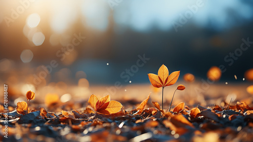 autumn leaves in the wind HD 8K wallpaper Stock Photographic Image photo