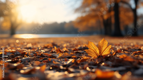 autumn in the forest HD 8K wallpaper Stock Photographic Image