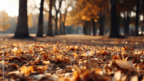 autumn in the park HD 8K wallpaper Stock Photographic Image