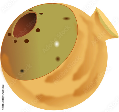 descargar vectores de Ocarina