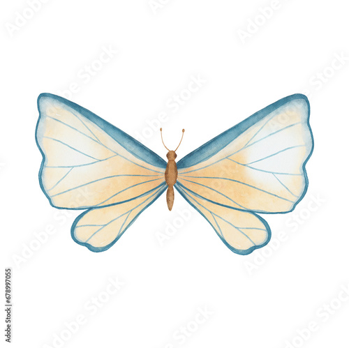 Watercolor abstract butterfly isolated on white background. Pastel beige and blue butterfly hand drawn illustration