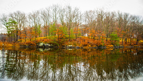New England Autumn Trees