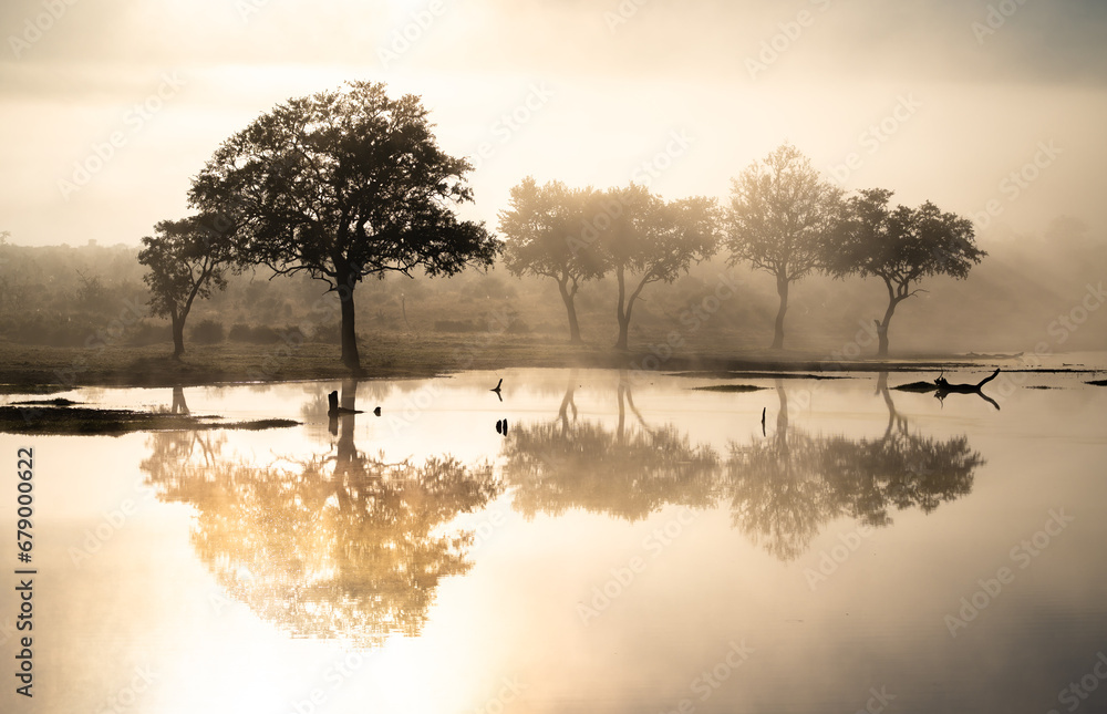 Ταπετσαρία Savannah pond in the morning fog in Kruger National Park, South Africa