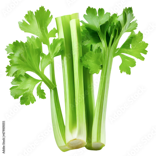 Fresh celery isolated on white background. fresh vegetables and.healthy food