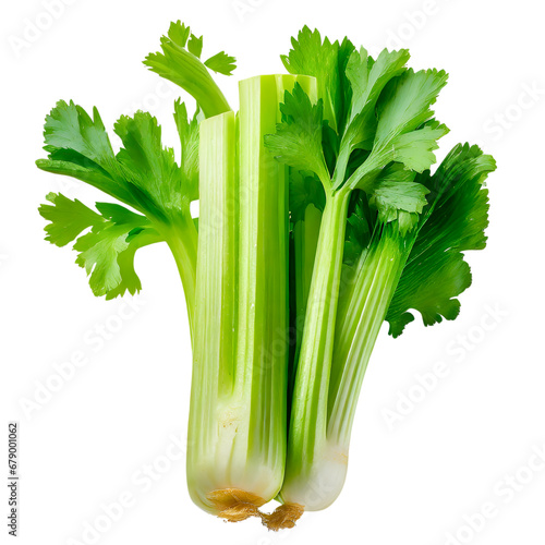 Fresh celery isolated on white background. fresh vegetables and.healthy food