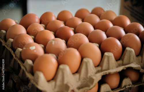 eggs stacked on cardboards or paper trays close-up view